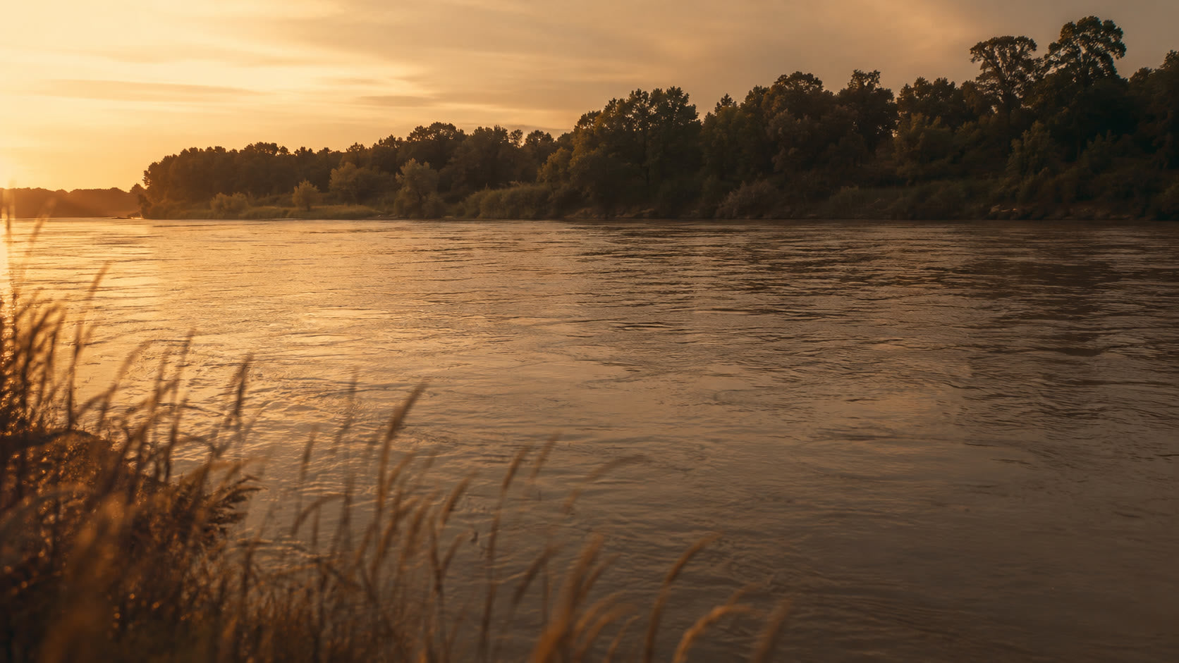A wide river at dusk, warm light on the moving water, tall grasses in soft focus along the near bank and a dark treeline beyond.