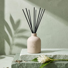 The Ìtọ́jú reed diffuser on stacked celadon and sage stone, with a white ginger flower and loose white tea leaves, under a leaf shadow