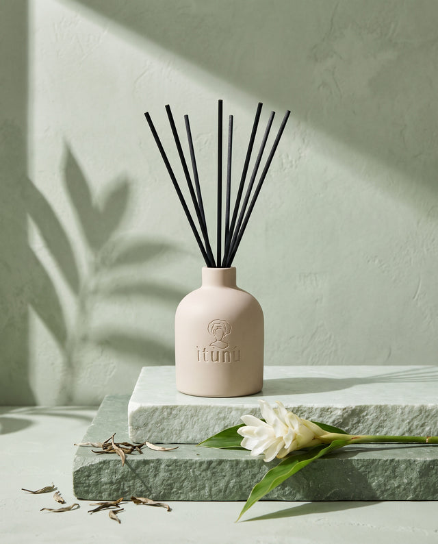 The Ìtọ́jú reed diffuser on stacked celadon and sage stone, with a white ginger flower and loose white tea leaves, under a leaf shadow