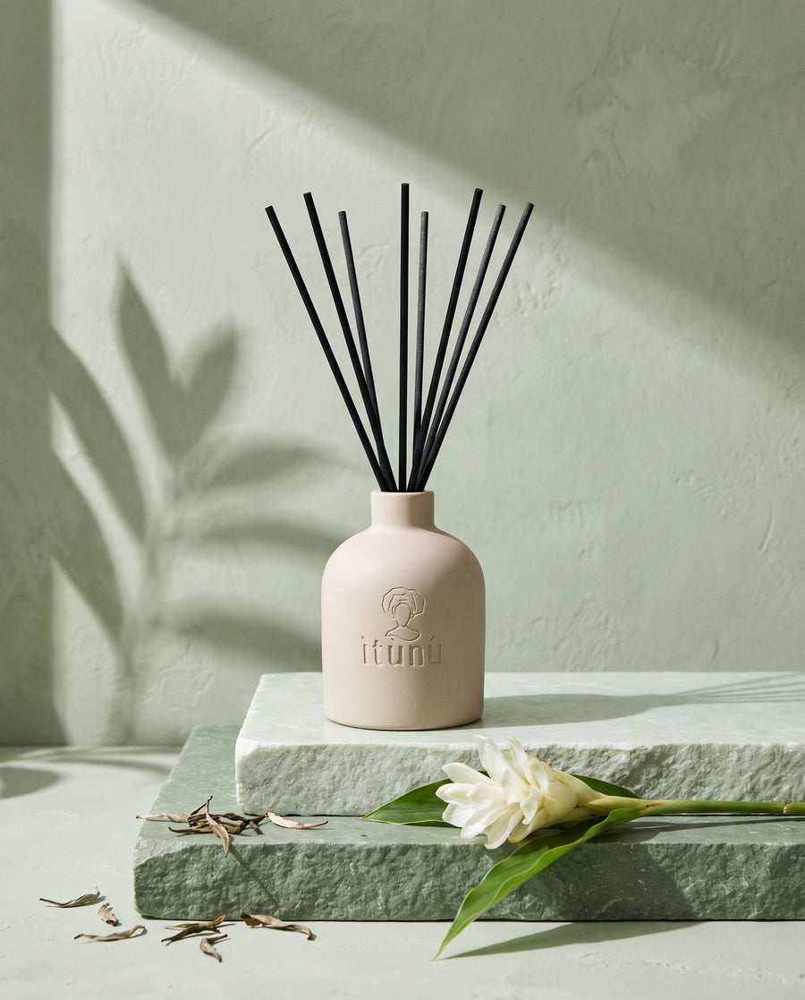 The Ìtọ́jú reed diffuser on stacked celadon and sage stone, with a white ginger flower and loose white tea leaves, under a leaf shadow