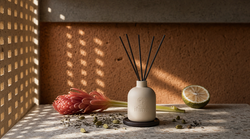 The Ìtọ́jú reed diffuser with five black reeds on a terrazzo ledge against an ochre laterite wall, a perforated screen throwing a grid of light. A pink ginger flower lies beside it with a halved bitter orange, green cardamom pods and scattered crushed tea leaves.